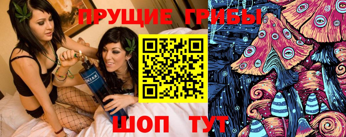 Псилоцибиновые грибы GOLDEN TEACHER Улан-Удэ