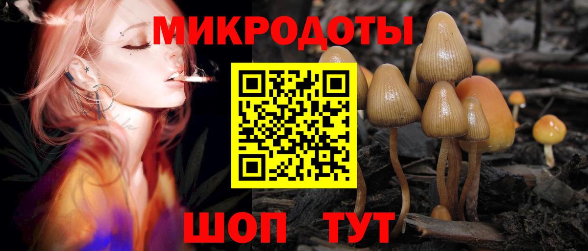 Псилоцибиновые грибы GOLDEN TEACHER  купить закладку  Улан-Удэ  Вход с VPN 